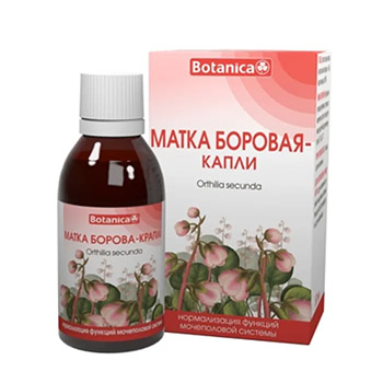 Боровая матка, капли, 50мл/Orthilia drops,50ml Боровая матка, капли, 50мл/Orthilia drops,50ml
